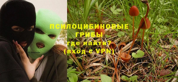мескалин Медвежьегорск