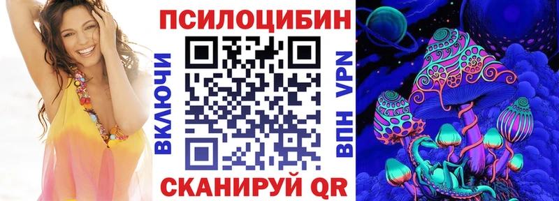 Псилоцибиновые грибы MAGIC MUSHROOMS  где купить наркотик  Сусуман 